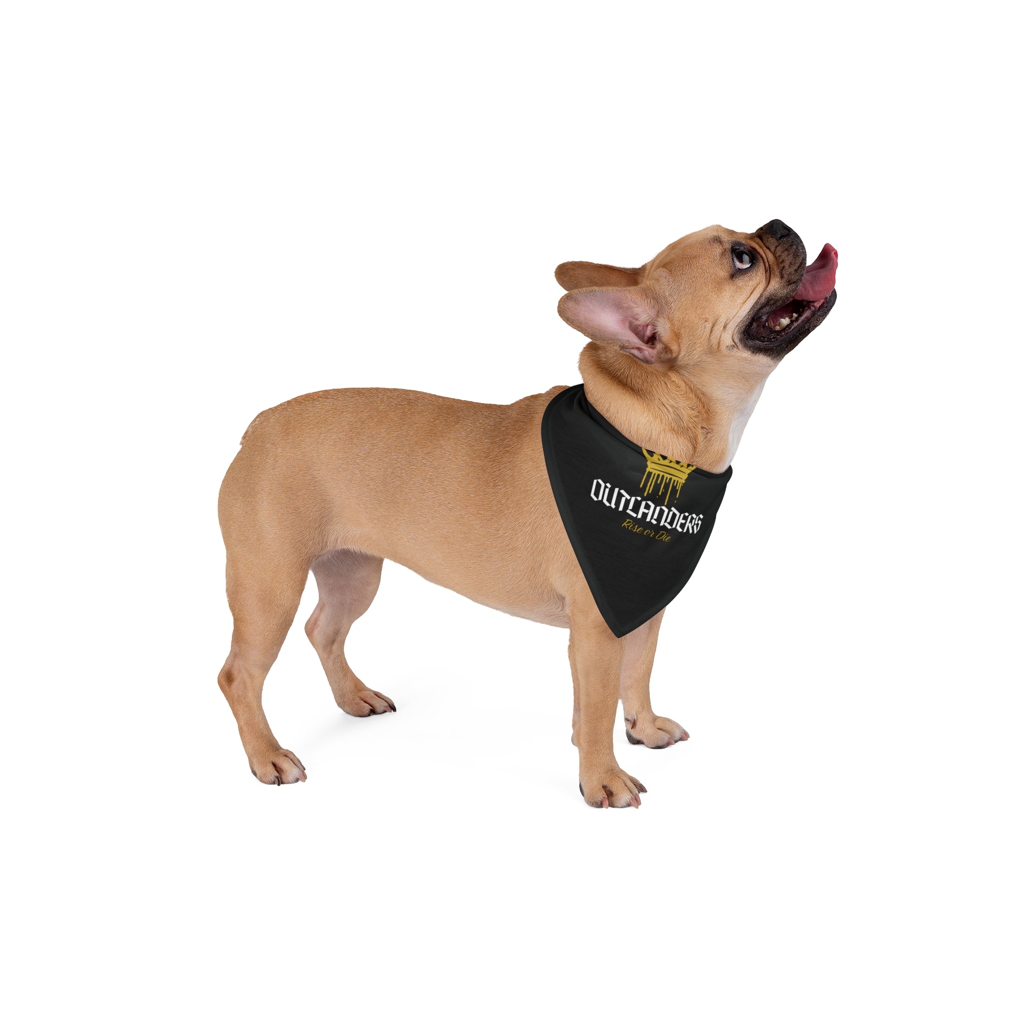 Outlanders Pet Bandana – King Edition